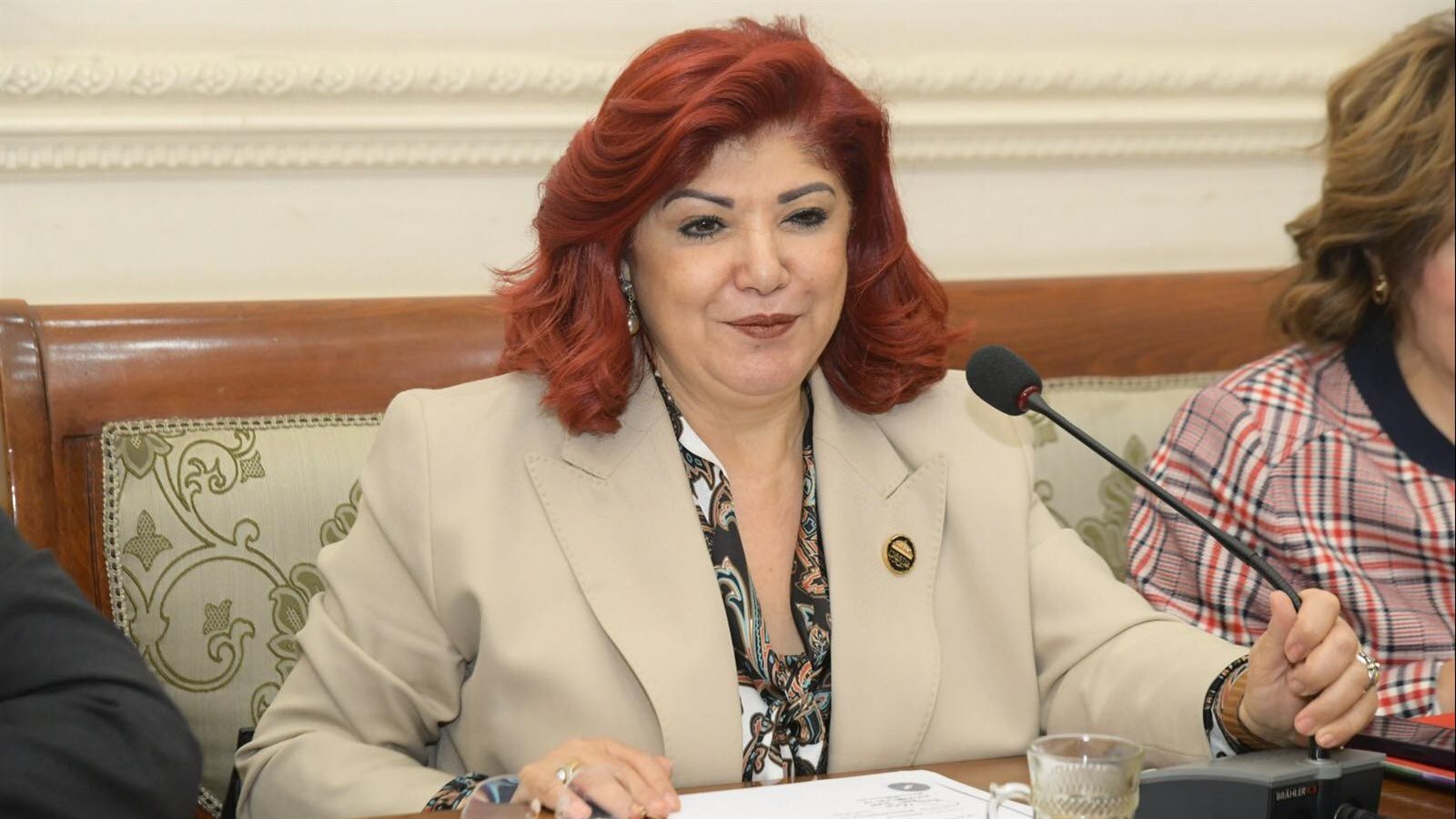 النائبة نورا علي، رئيس لجنة السياحة 