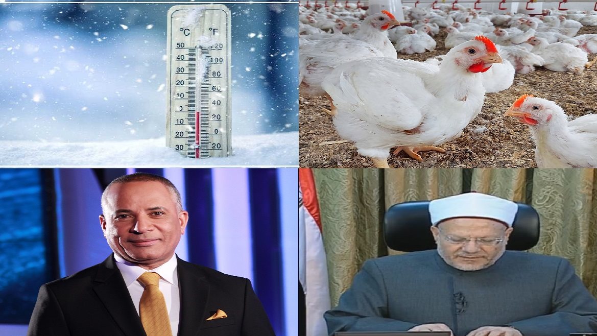 أخبار التوك شو