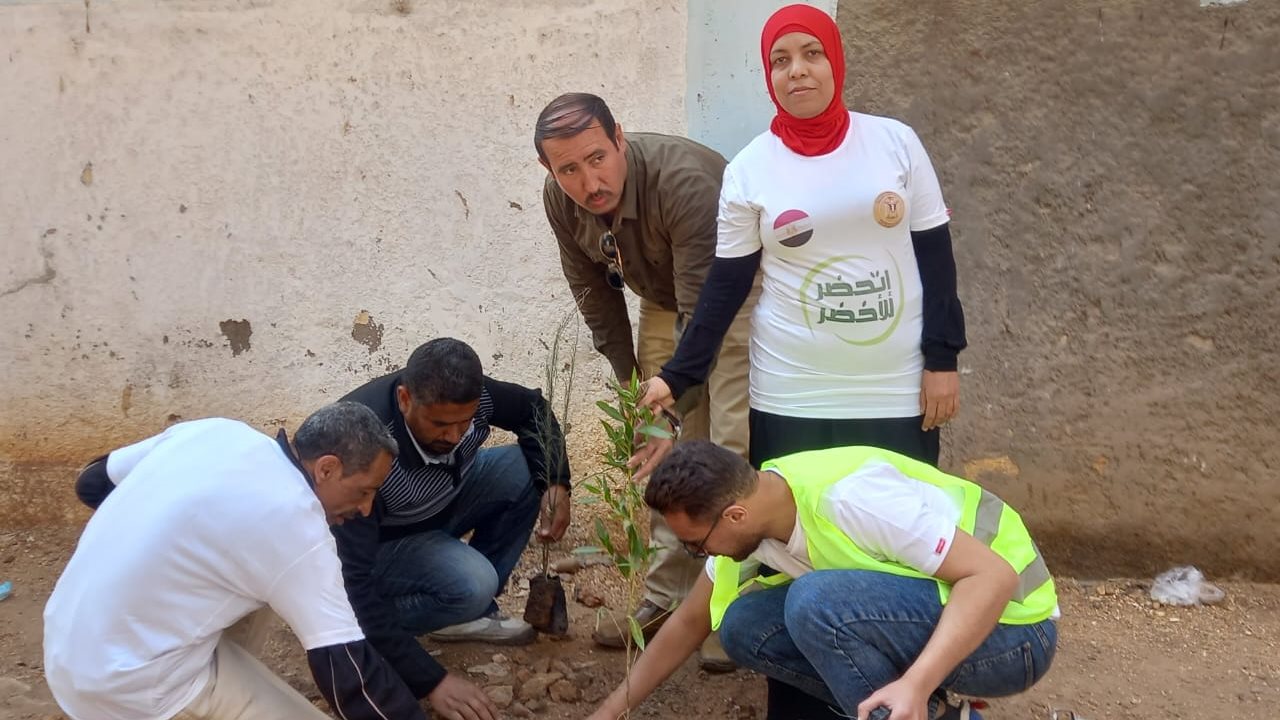 حملة للتشجير بمركز القوصية في أسيوط 