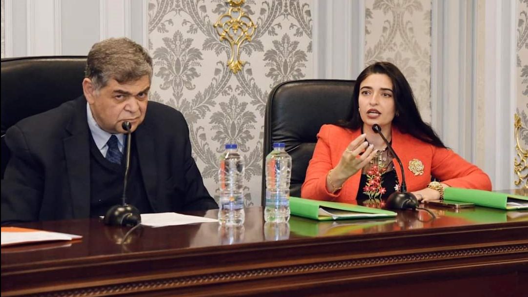 إيرين سعيد، عضو لجنة الصحة بمجلس النواب 
