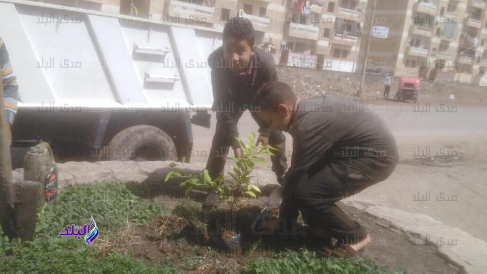 زراعة الأشجار 