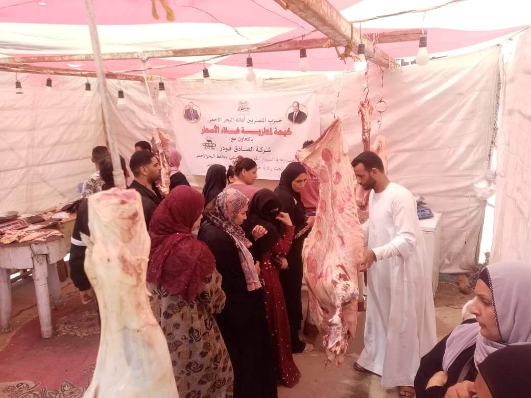 336595804_3499320333720427_3905429771341808823_n