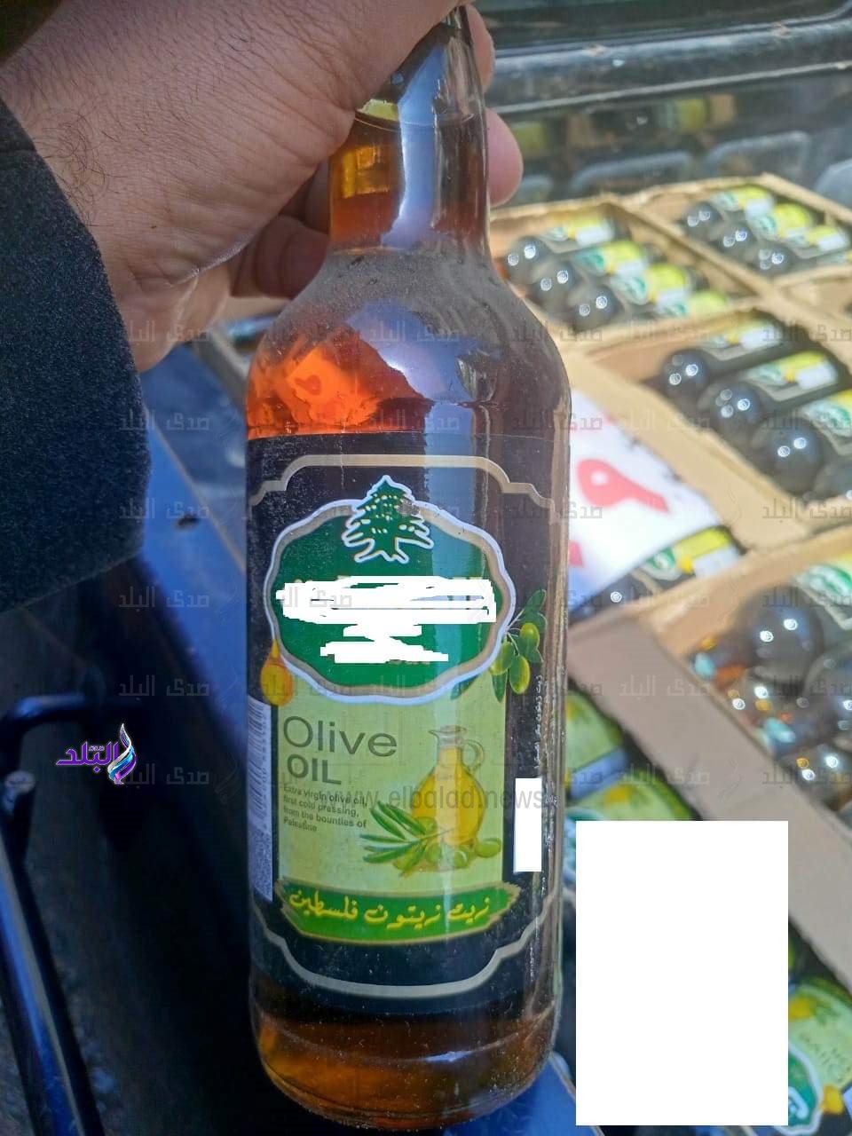 FB_IMG_1679742471939