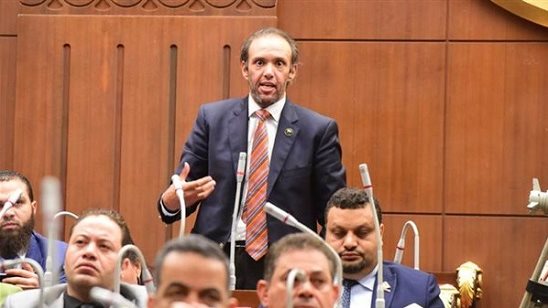 النائب محمد فريد عضو مجلس الشيوخ 