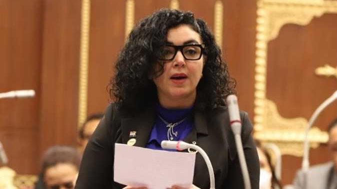  النائبة ريهام عفيفي عضو لجنة العلاقات الخارجية بمجلس الشيوخ