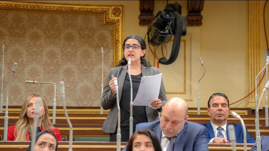 النائبة روان لاشين، عضو لجنة العلاقات الخارجية بمجلس النواب