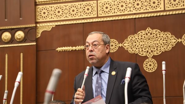 النائب إيهاب أبو كليلة، عضو مجلس الشيوخ
