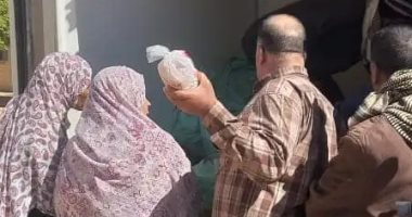 منافد بيع الدواجن 