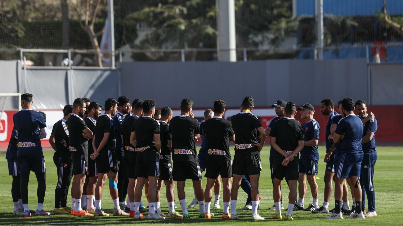 الاهلي