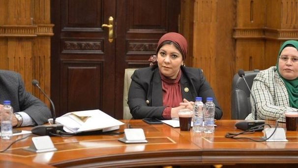 شيماء محمود نبيه، عضو مجلس النواب