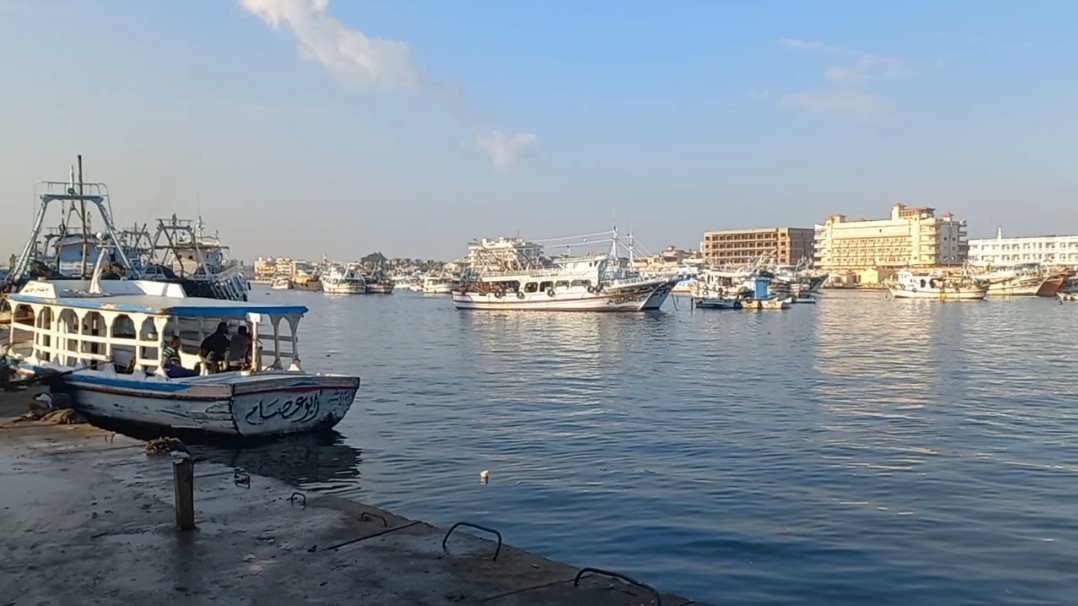 عزبه البرج 