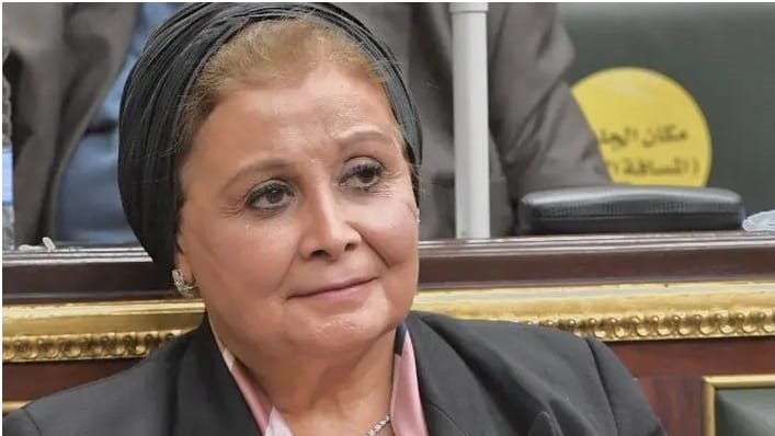 النائبة عبلة الألفى ، عضو لجنة الصحة بالبرلمان
