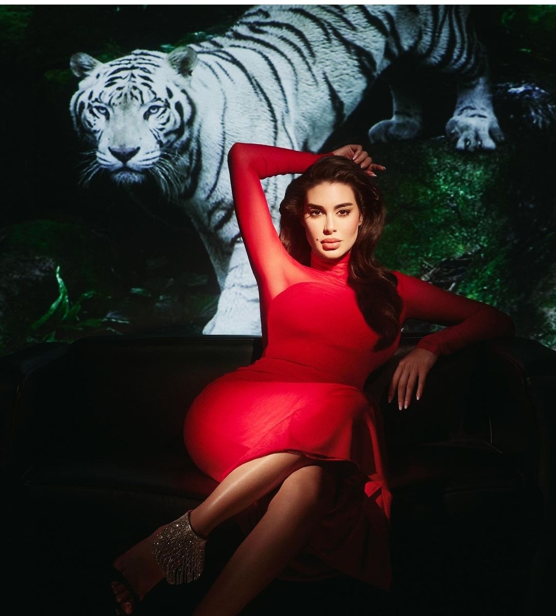 IMG_٢٠٢٣٠٣٣٠_٢٢٥٩١٧