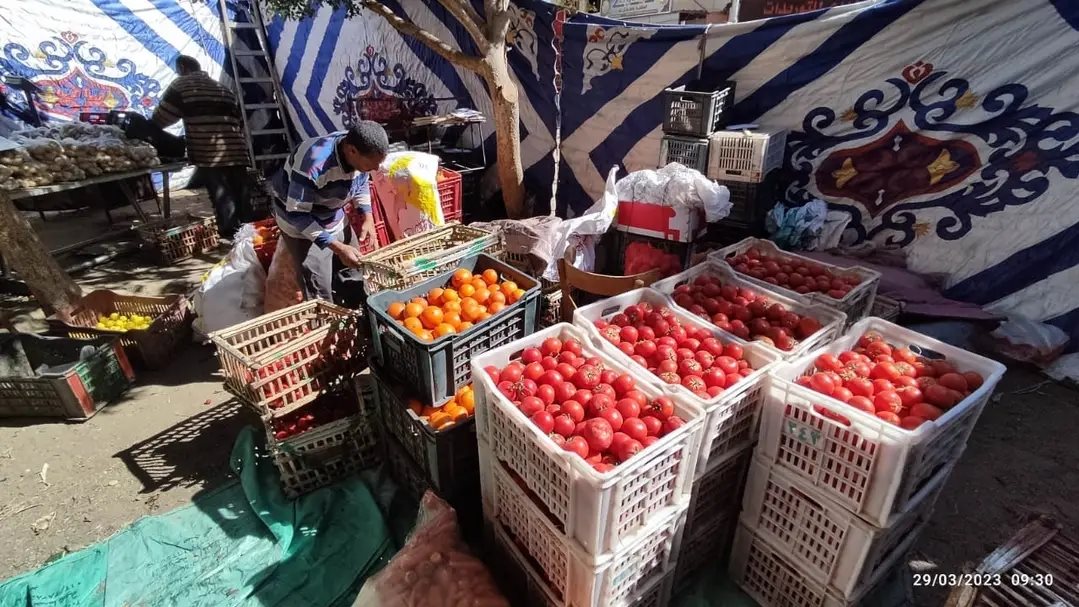 جانب من الخضروات  المعروضة 