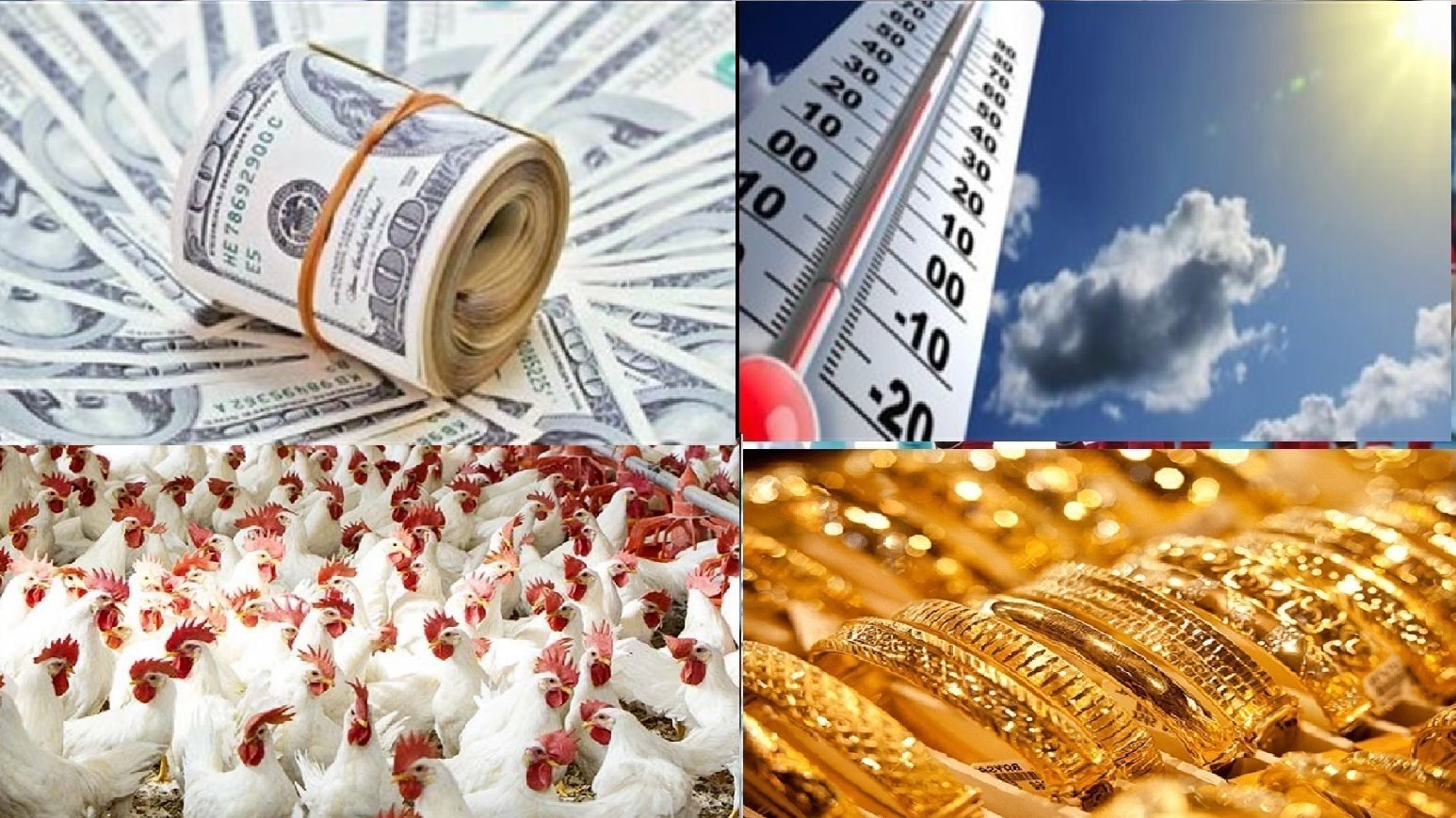 اسعار الذهب والدولار 
