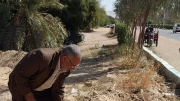 زراعة اشجار  مثمره