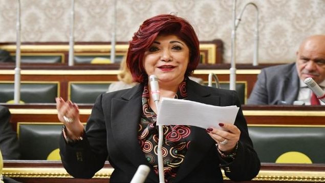 النائبة نورا علي رئيس لجنة السياحة بمجلس النواب