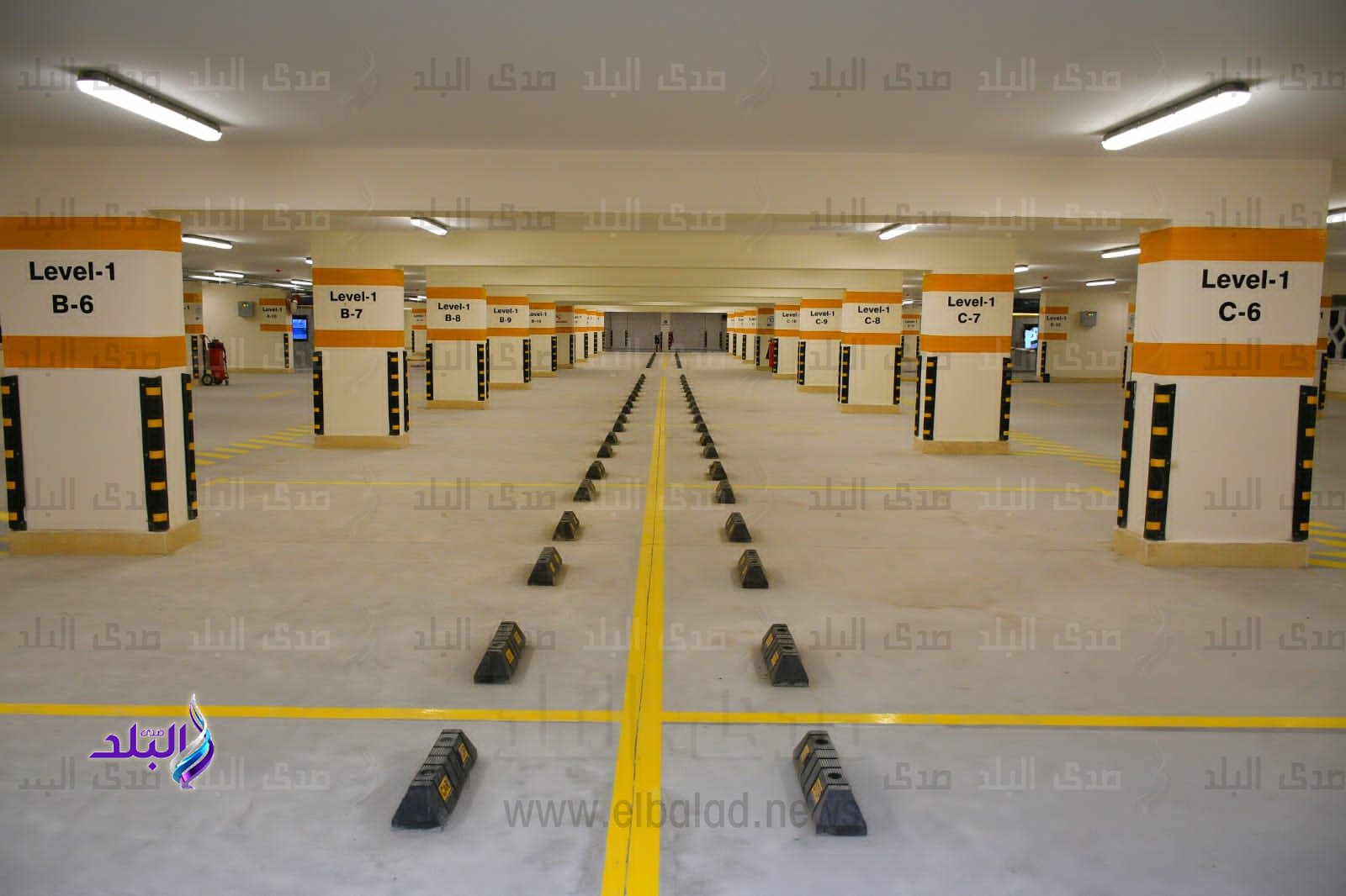 WhatsApp Image 2023-04-03 at 9.58.59 AM