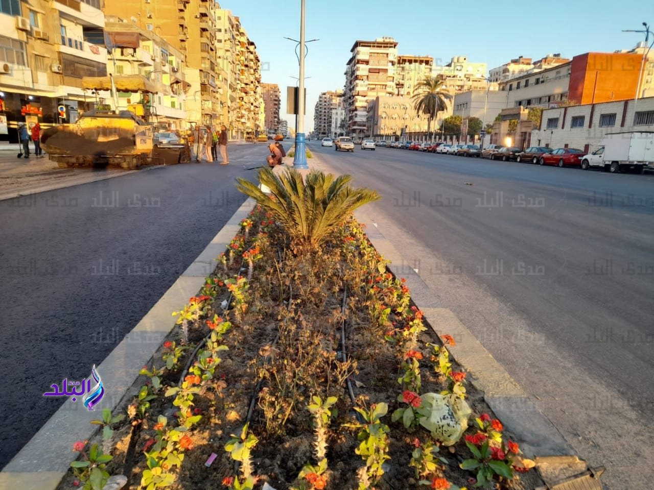 WhatsApp Image 2023-04-03 at 2.05.10 PM (1)