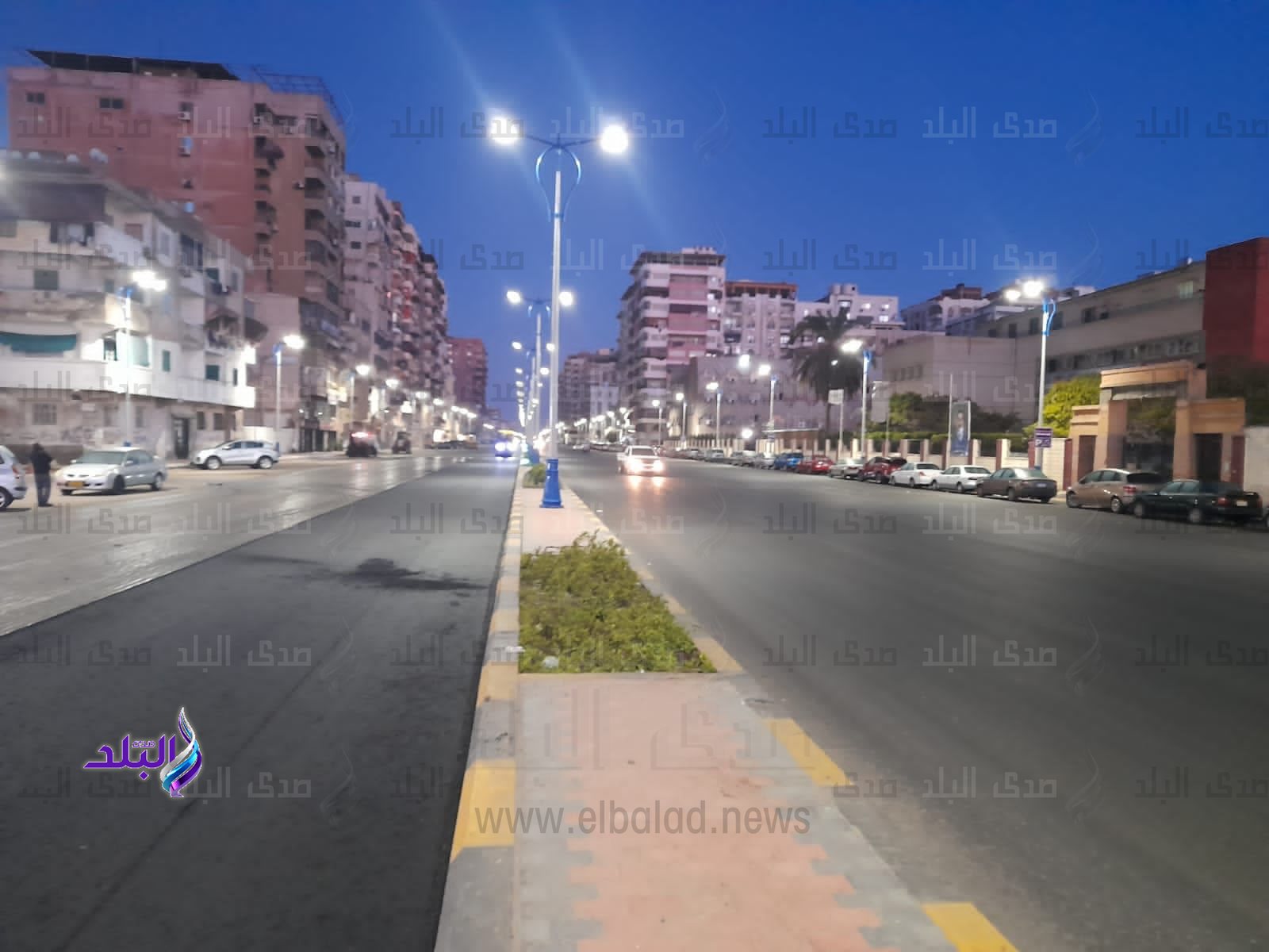 WhatsApp Image 2023-04-03 at 2.05.14 PM