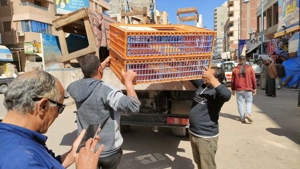 حملة لازالة الاشغالات بمرسي مطروح