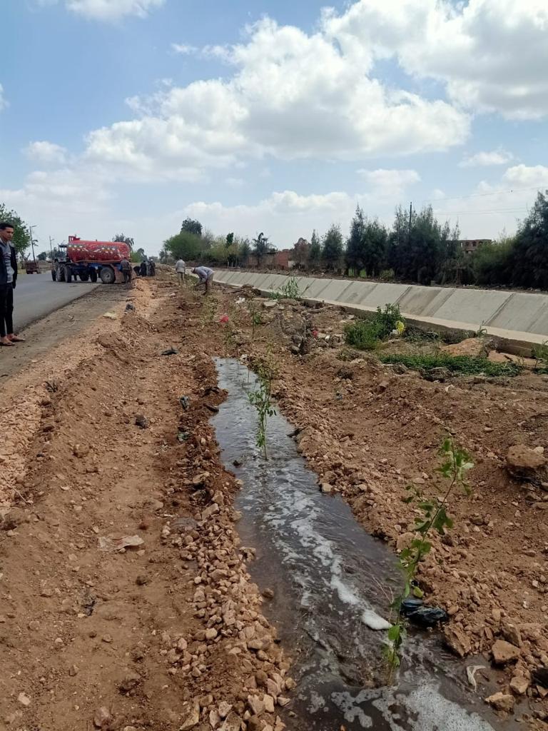 زراعة  المنوفية : تحرير ما يقرب من 4 آلاف محضر تبوير 