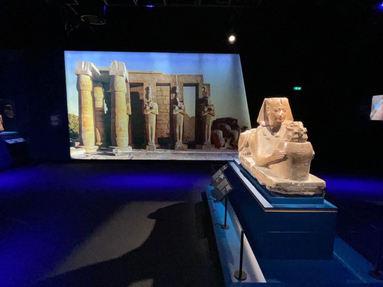 صورة من المعرض 