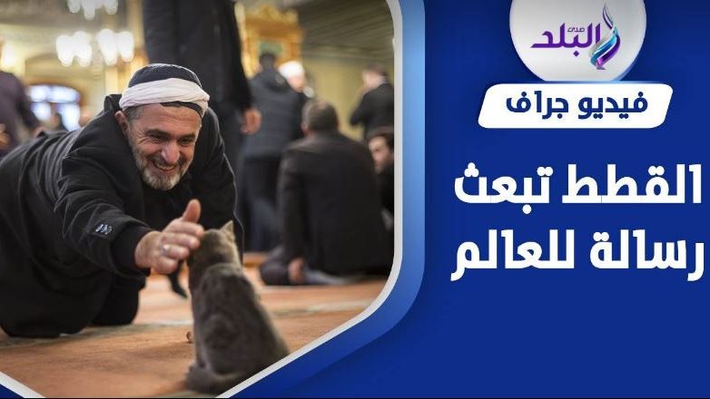 القط والمبتهل المصري