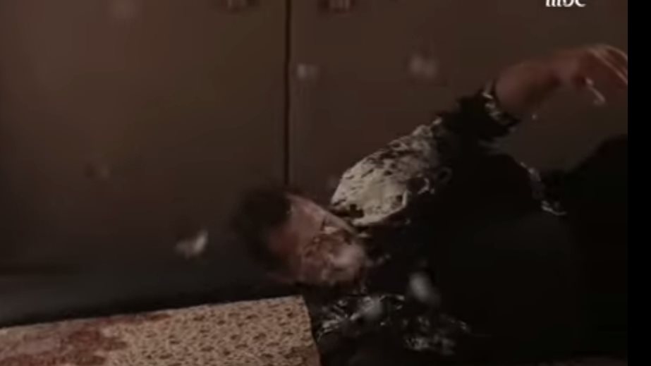 الفنان محمود حافظ 