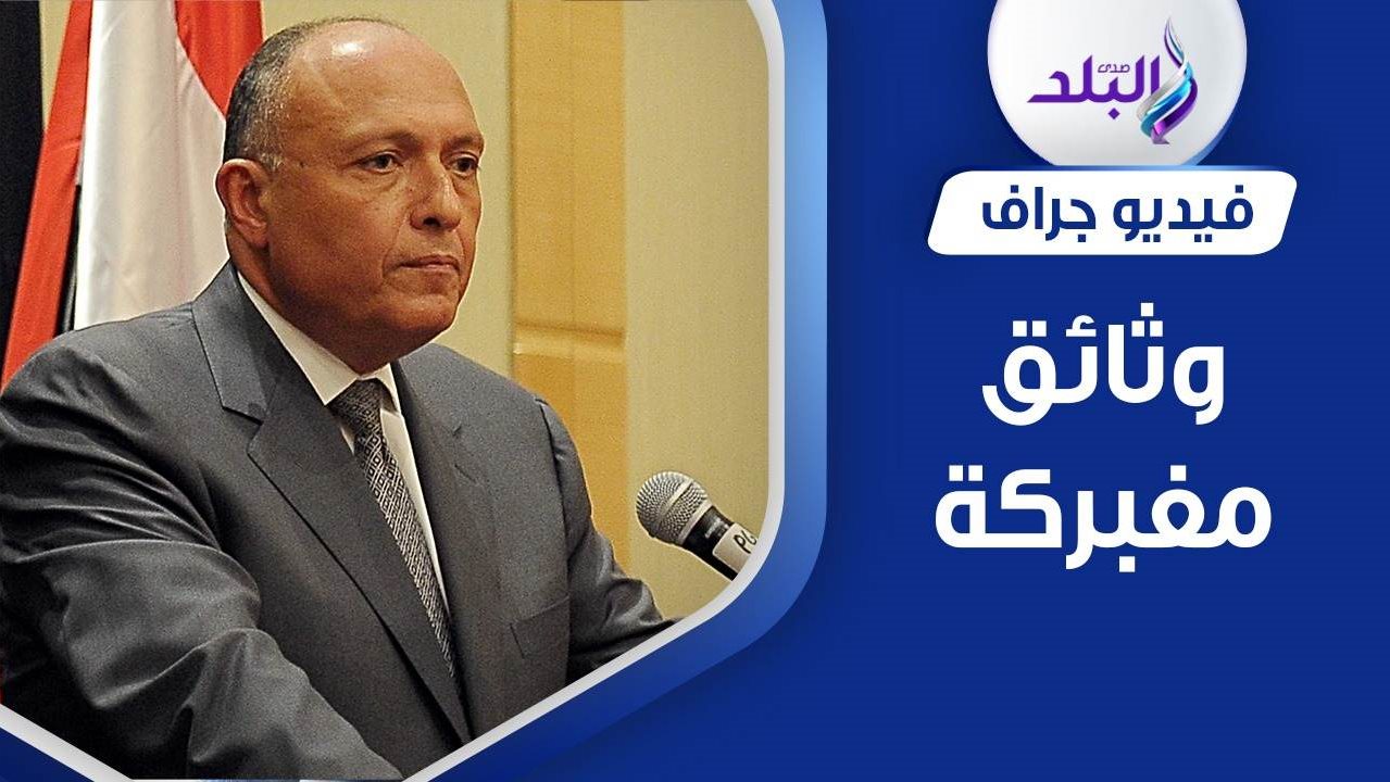 وزير الخارجية سامح شكري