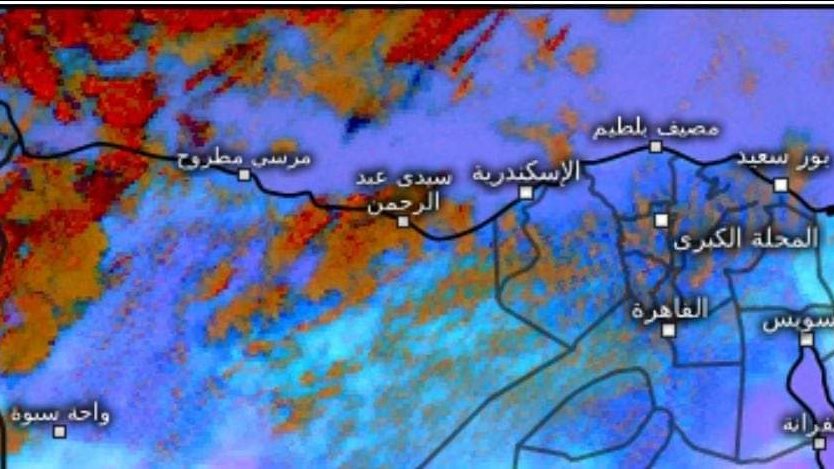 صورة من الحدث 