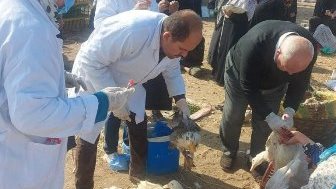 صورة أرشيفية صورة أرشيفية