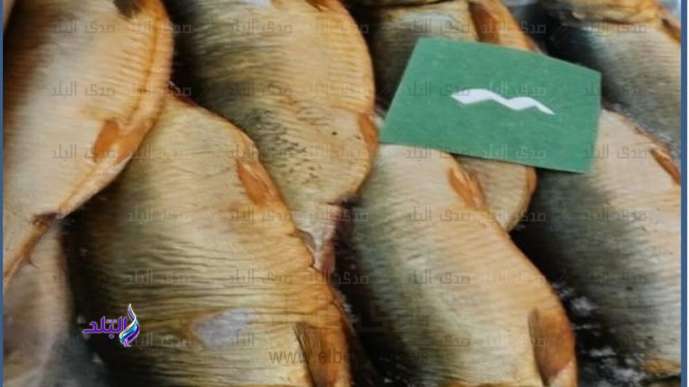 اسماك مملحة ومدخنة فاسدة 