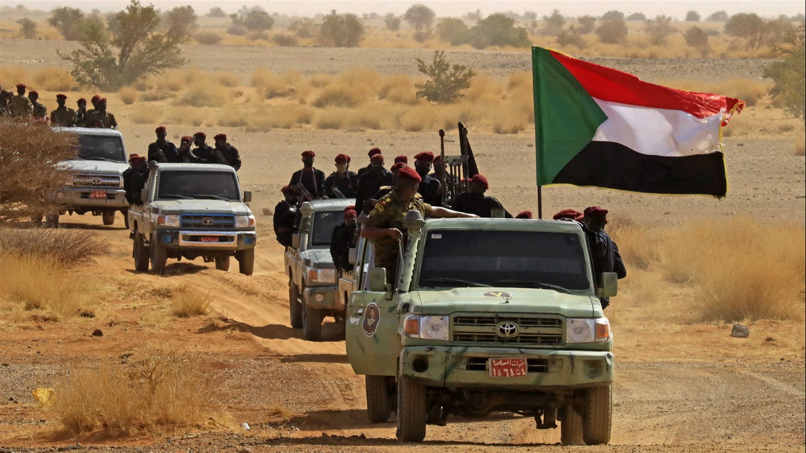 أرشيفية