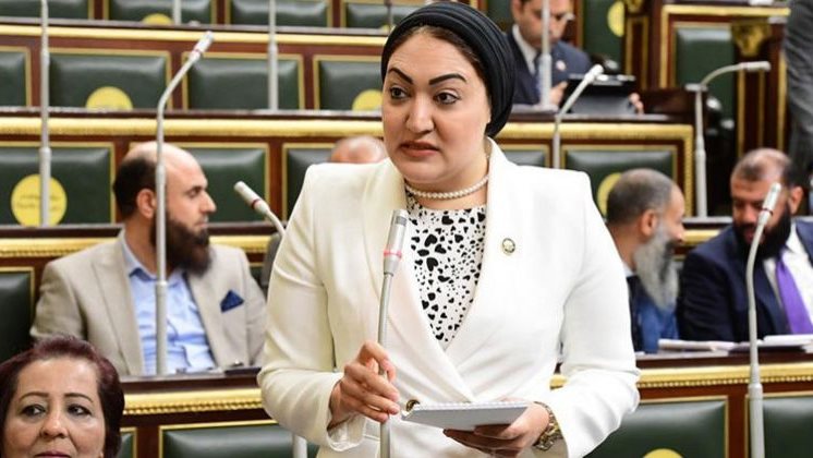 النائبة أسماء الجمال عضو لجنة العلاقات الخارجية بمجلس النواب