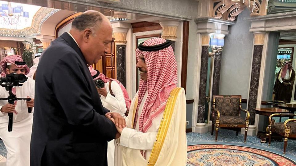 وزير ا الخارجية المصري والسعودي 