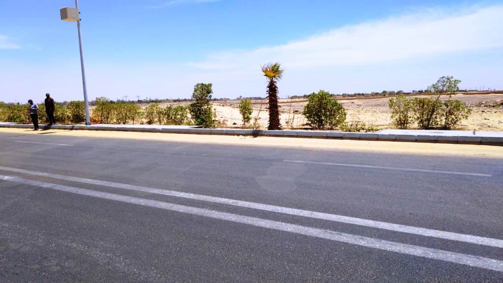 مبادرة الرئيس السيسى لزراعة 100مليون شجرة