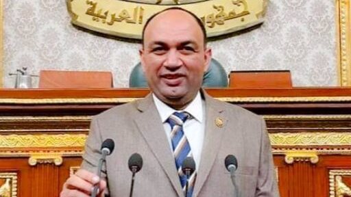 أحمد أبو  زيد عضو مجلس النواب