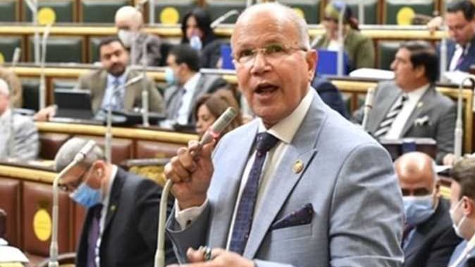 النائب السيد شمس الدين - عضو مجلس النواب