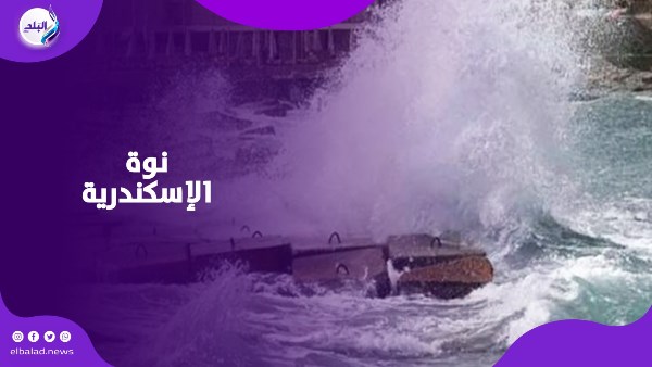 نوة قاسم بالإسكندرية