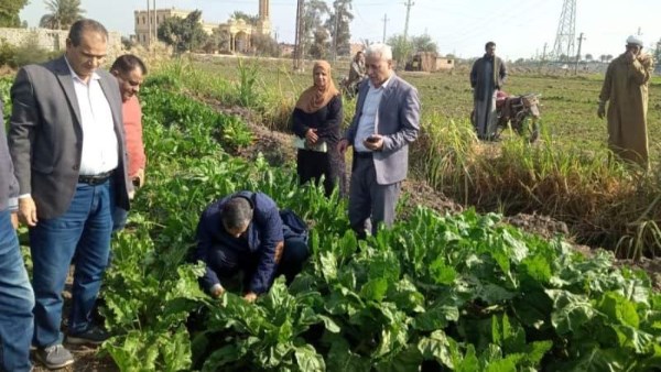 زراعة الشرقية