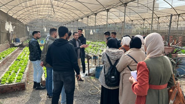 الزراعة بدون تربة