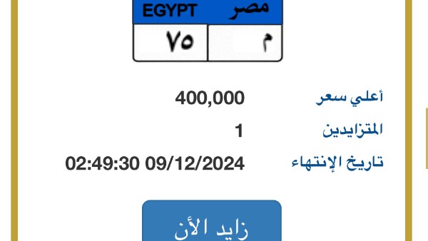 طرح لوحة مميزة للسيارات بـ 400 ألف جنيه