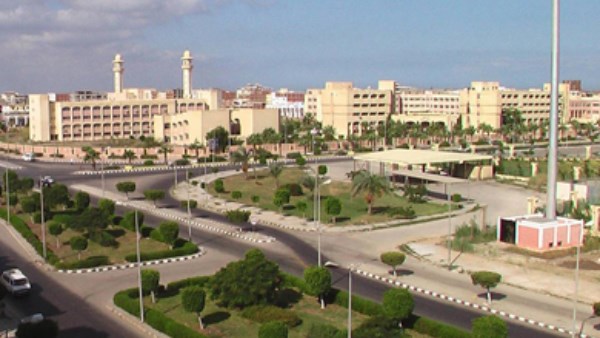 جامعة دمياط