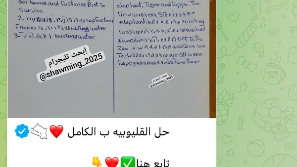 الغش في امتحانات الاعدادية