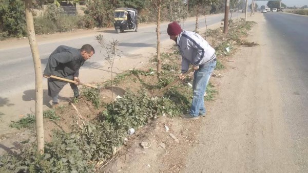 المبادرة الرئاسية للتشجير 