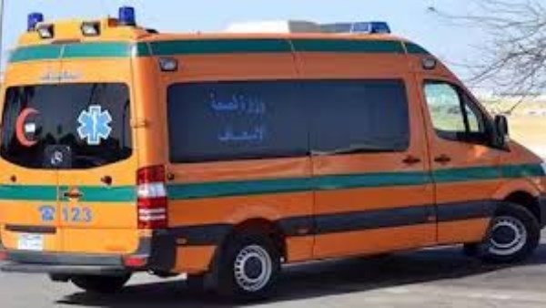 مصرع عامل سقط من سيارة نقل بنجع حمادي