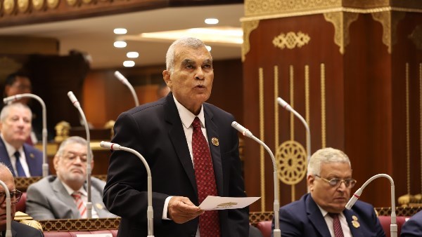 «مصر قوة عاقلة وتتمسك بحقوقها التاريخية في النيل».. رسائل حاسمة من رئيس مجلس الشيوخ