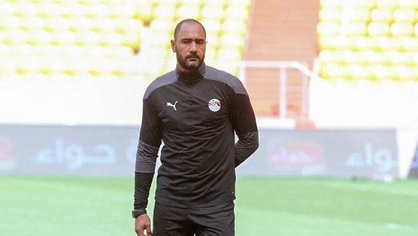 محمد شوقي