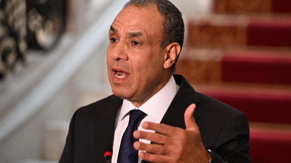بدر عبدالعاطي وزير الخارجية